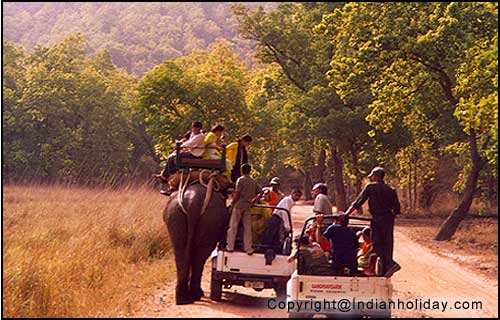 Bandhavgarh National Park Picture Gallery