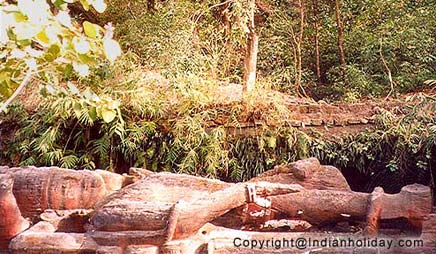 Shesh Saya at Bandhavgarh