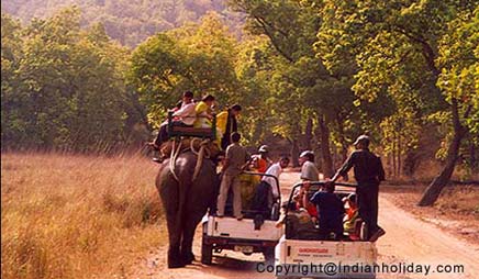 Safari Tour at Bandhavgarh