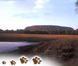 Bandhavgarh Climate, Bandhavgarh National Park