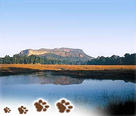 Bandhavgarh Fort