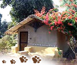 Bandhavgarh Jungle Lodge