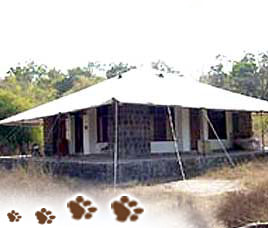 Camp Mewar Bandhavgarh