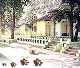 Nature Heritage Resort Bandhavgarh 
