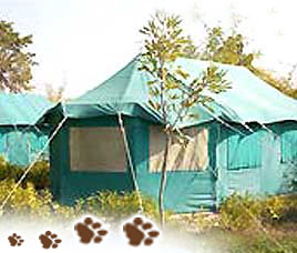Royal Tiger Resort Bandhavgarh 
