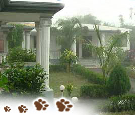 Tiger Den Resort Bandhavgarh