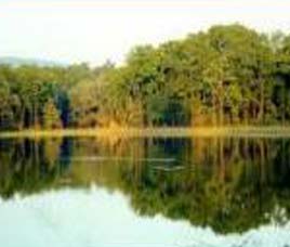 Climate in Bandipur  