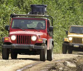 Transport in Bandipur Wildlife Sanctuary