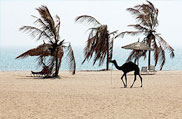 Ahmedpur Mandvi beach