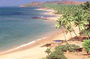 Anjuna Beach,Goa
