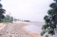 Chandipur Beach