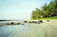 Mandwa Kihim beach