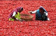 Ahmadabad