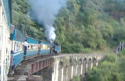 Ooty