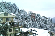 Shimla
