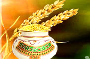 Makar Sankranti