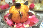 Navroz