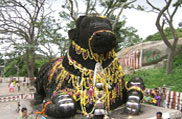 Mysore