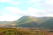 Aruku Valley Hill Station