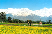 Badrinath Hil station
