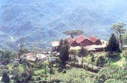 Kasauli Hill Station