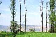 Panchgani Hill Station Maharashtra
