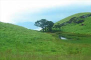 Wayanad Hill Station, Kerala