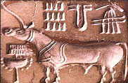 Archaeological Museum, New Delhi