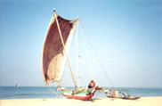 Dinghy Sailing in Goa