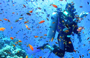 Scuba Diving in Andaman & Nicobar