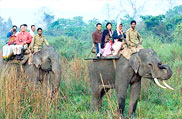 Kaziranga National Park, Assam