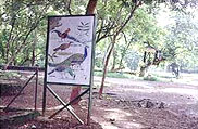 Sanjay National Park, Chhattisgarh