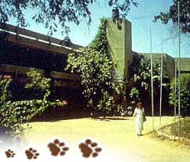 Bharatpur Forest Lodge