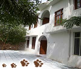 Birder's Inn