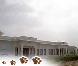 Hotel Udai Vilas Bharatpur