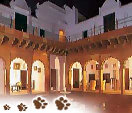Wildlife Resorts in Bharatpur