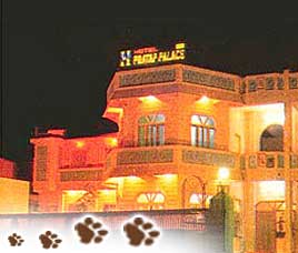Hotel Pratap Palace