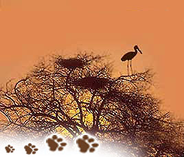 Bharatpur Conservation History