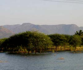 Climate in B.R Hills Wildlife Sanctuary