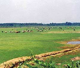 Conservation History on B R Hills Wildlife Sanctuary