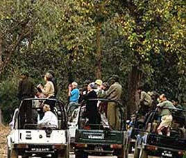 Transport in B.R Hills Wildlife Sanctuary