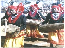Culture of Chhattisgarh 