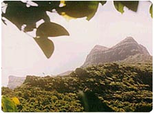 Tour to Raigarh