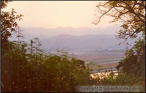Corbett National Park Picture Gallery