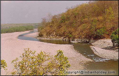 Corbett National Park Picture Gallery