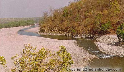 Corbett National Park Picture Gallery