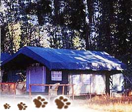 Camp Forktail Creek,Camp Forktail Creek Resort 