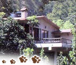 Corbett Riverside Resort