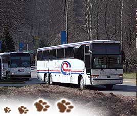 How to Reach Corbett National Park