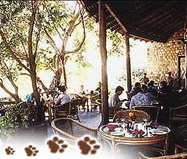 Infinity Resort Jungle Lodge